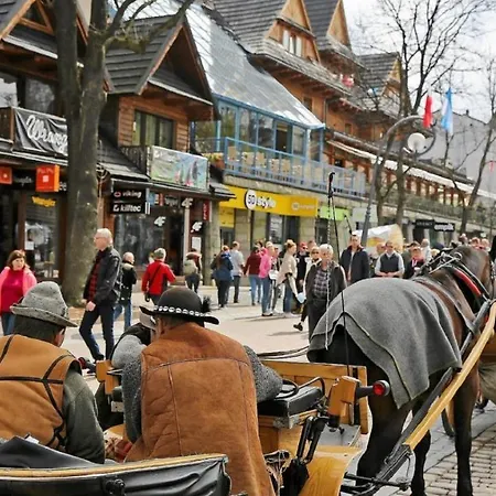 Góralski U Hanki Przy Stoku Domek alpejski