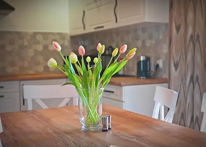 Góralski U Hanki Przy Stoku Domek alpejski Małe Ciche